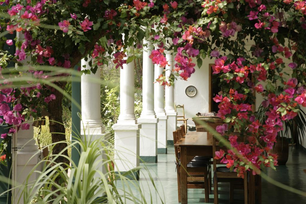 York Lodge Harare Luaran gambar
