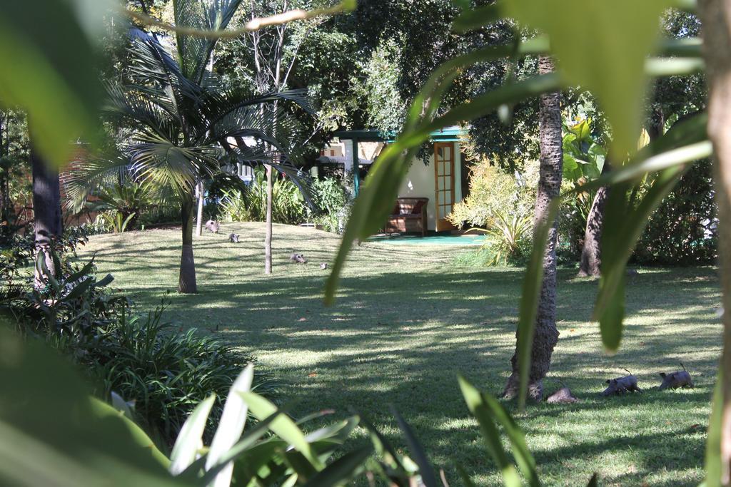 York Lodge Harare Luaran gambar